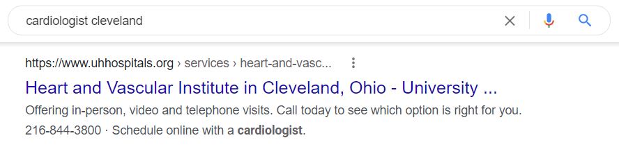 SEO Search Result 