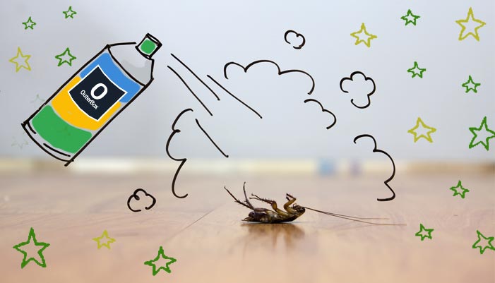 PPC Pest Control Case Study