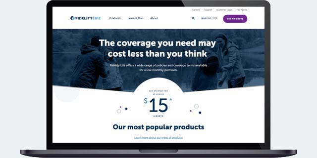 Fidelity Life Case Study