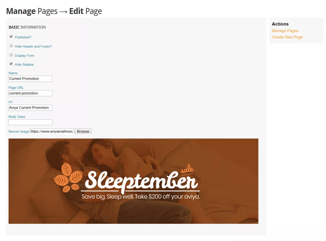 eCommerce Blog CMS Features