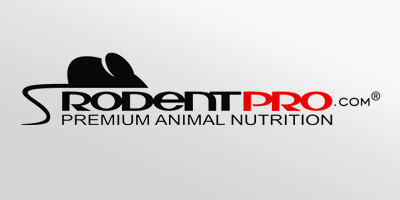 google adwords campaign management agency