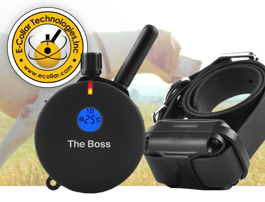 E-Collar Dog Training Collars