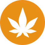 Proven CBD / Cannabis Search Marketing Services
