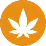 Dispensary SEO Agency