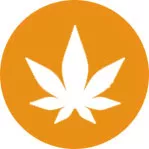 Proven CBD / Cannabis Search Marketing Services