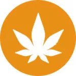 Dispensary SEO Agency