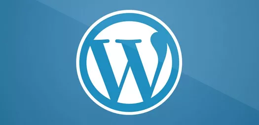 Wordpress SEO