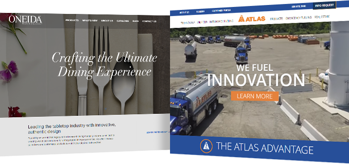 professional website examples