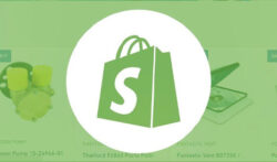 shopify website design pricing article