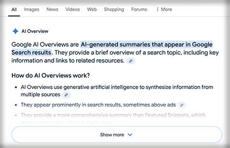 Zero Click AI Overview example