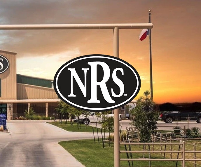 NRS World logo