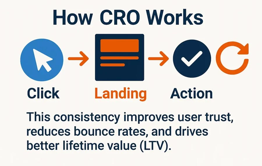 Graphic summarizing the CRO process
