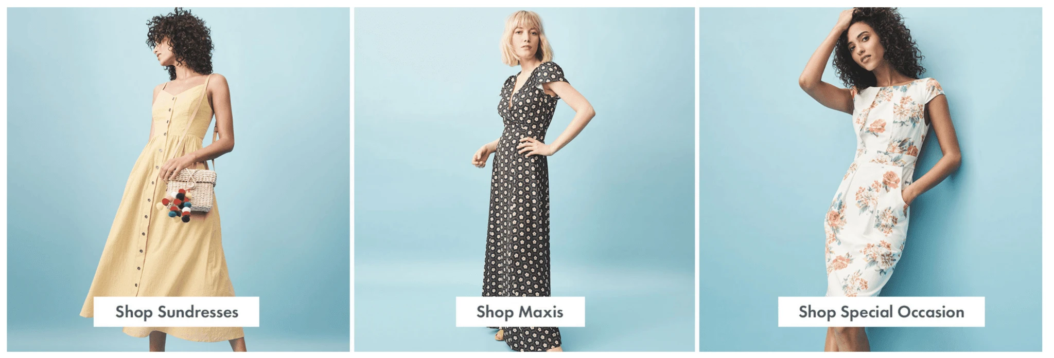 Di Bruno Bros BigCommerce Utilization