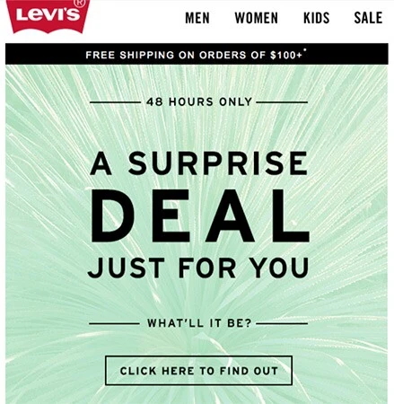Flash Sale Promotion