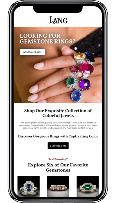 Lang Email Mobile Case Study
