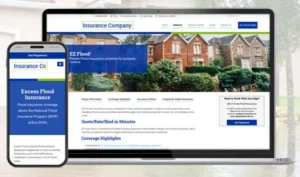 CRO insurance case study