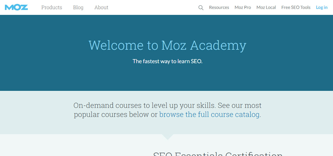 Moz SEO Training