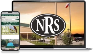 Nrsworld SEO Case Study