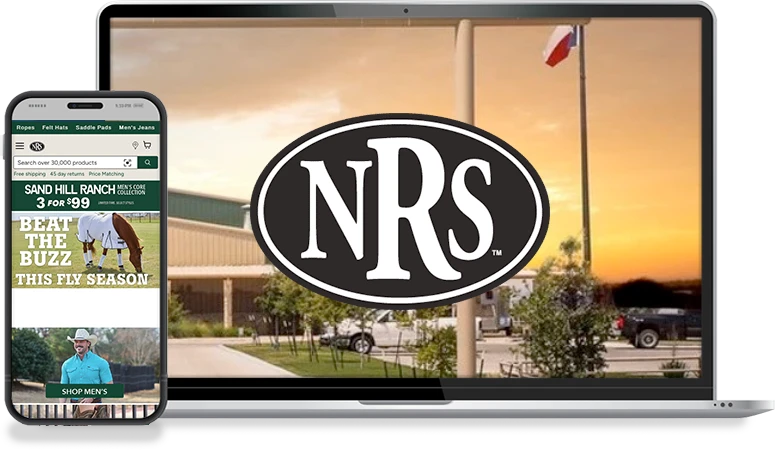 Nrsworld SEO Case Study