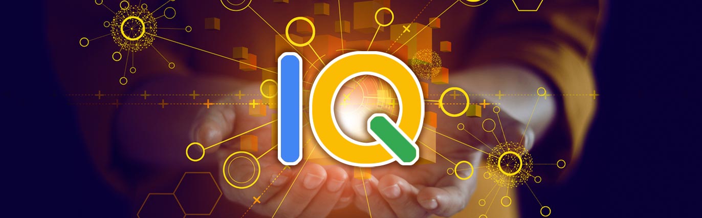 Raise Your Paid Media IQ