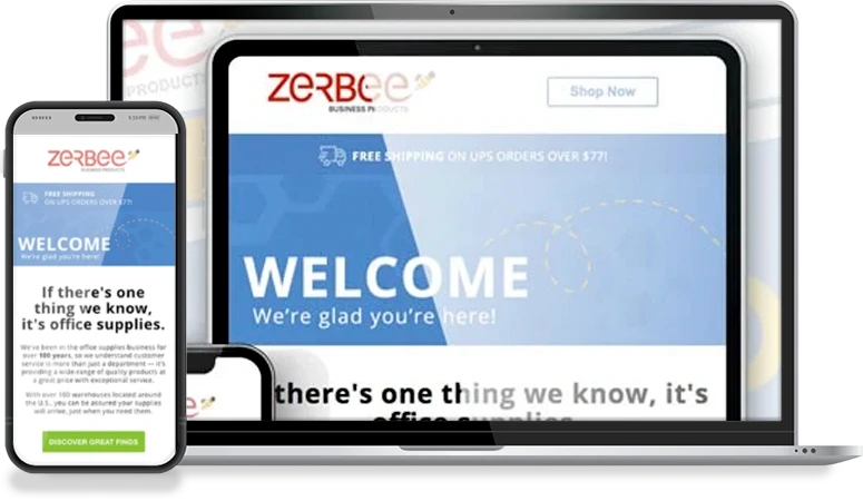 Zerbee Email Automation Case Study