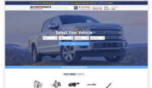BuyAutoParts updated homepage test case study