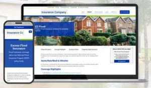 CRO insurance case study