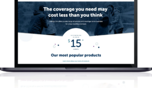 Life insurance quote form lead generation case study