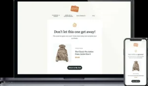 Unclaimed Baggage cart abandonment email case study