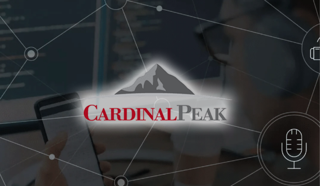 Cardinal Peak increased rankings and leads SEO case study