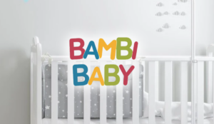 Bambi Baby organic ecommerce revenue growth SEO case study