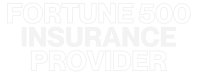 Fortune 500 insurance provider