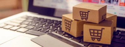 eCommerce SEO services for category visibility, product page performance, and revenue growth