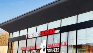 Veterinary Emergency Group clinic featured in a paid search case study
